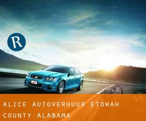 Alice autoverhuur (Etowah County, Alabama)