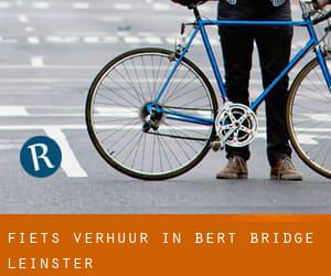 Fiets verhuur in Bert Bridge (Leinster)