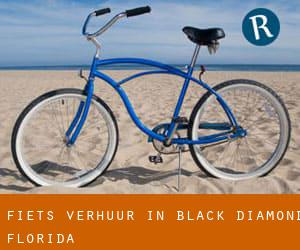 Fiets verhuur in Black Diamond (Florida)