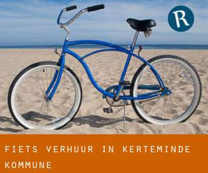 Fiets verhuur in Kerteminde Kommune