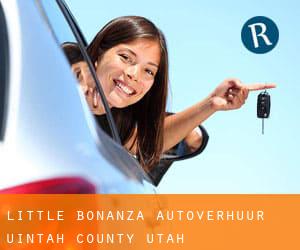 Little Bonanza autoverhuur (Uintah County, Utah)